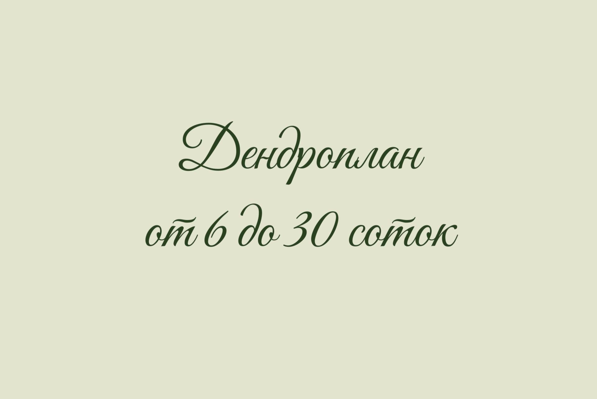 Дендроплан