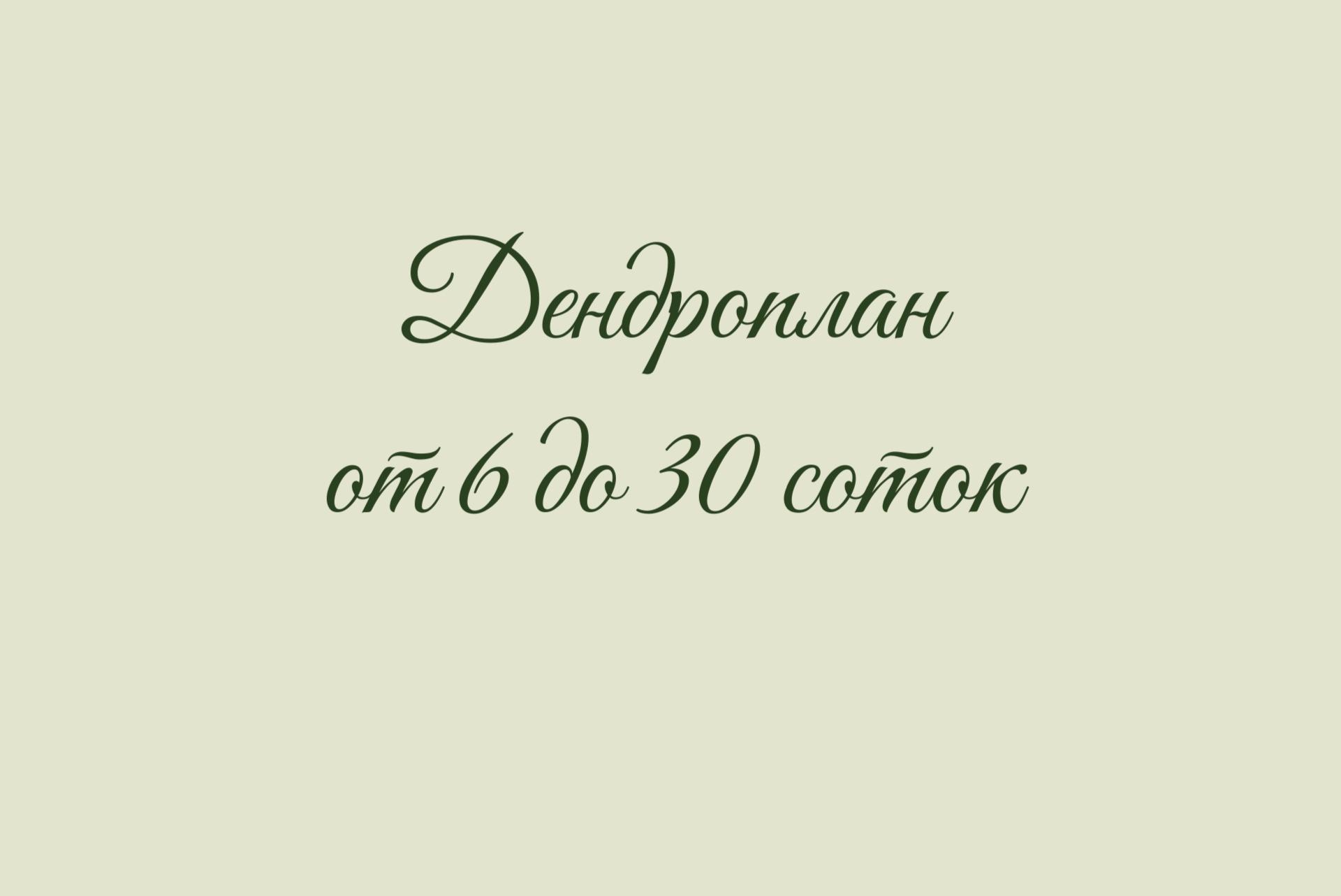 Дендроплан